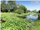 4 Rhapis Court, Dundowran Beach QLD 4655