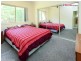 4 Rhapis Court, Dundowran Beach QLD 4655
