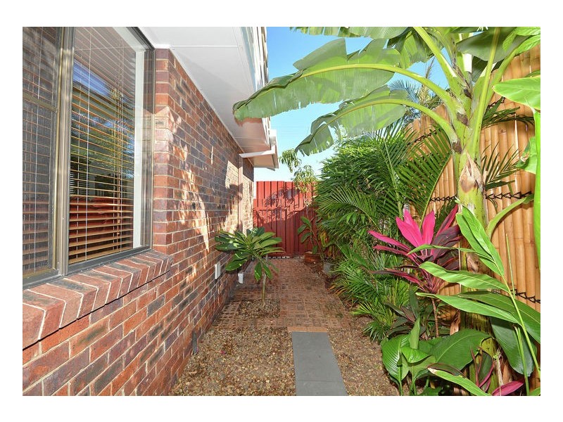 16 Hastings Street, Pialba QLD 4655