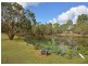 141 Moorabinda Dr, Sunshine Acres QLD 4655