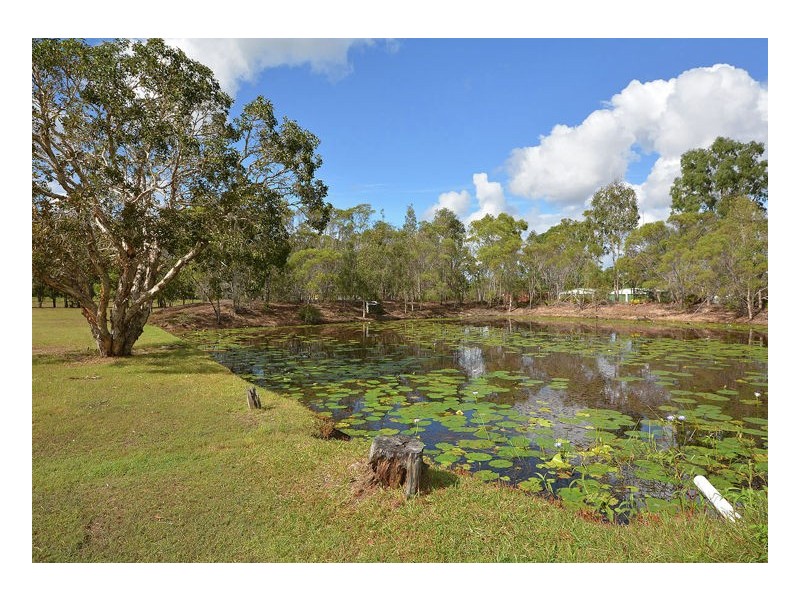 141 Moorabinda Dr, Sunshine Acres QLD 4655