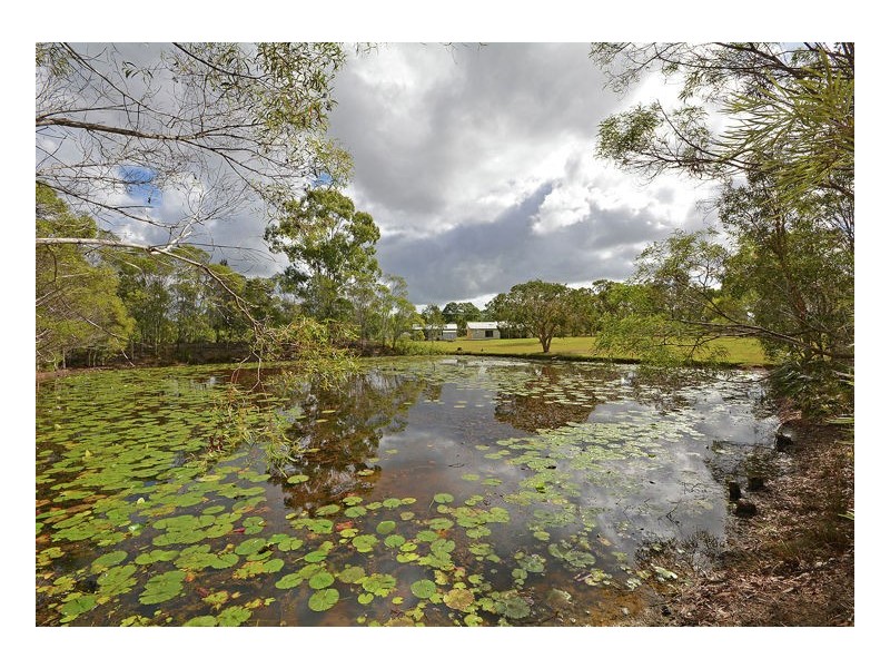 141 Moorabinda Dr, Sunshine Acres QLD 4655