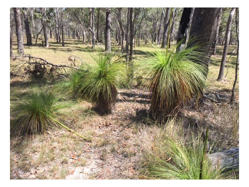 101 Pacific Haven Cct, Pacific Haven QLD 4659