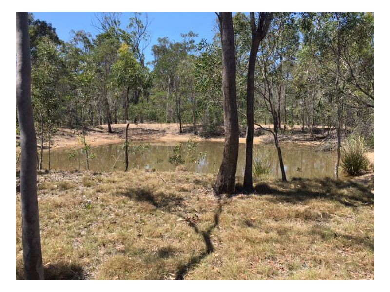 101 Pacific Haven Cct, Pacific Haven QLD 4659