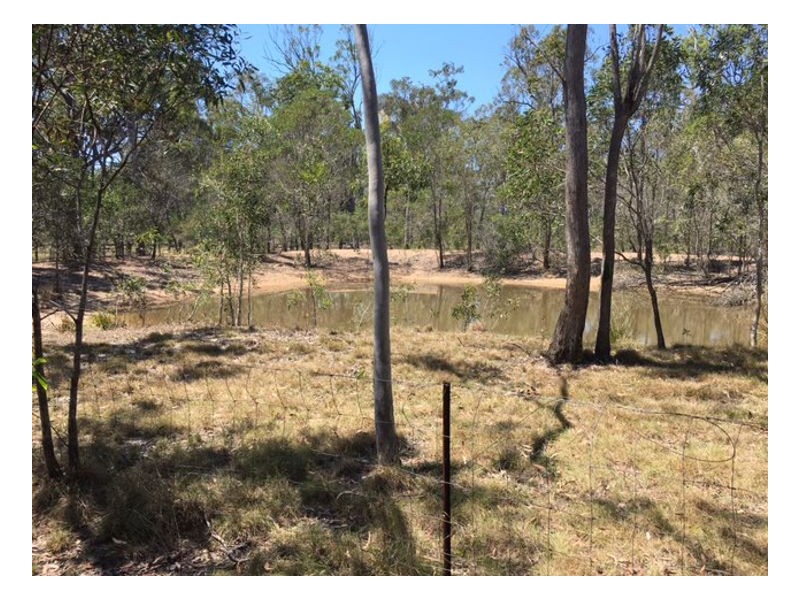 101 Pacific Haven Cct, Pacific Haven QLD 4659