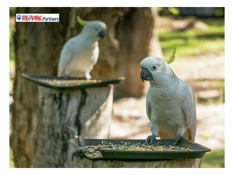 258 Oregan Creek Road, Toogoom QLD 4655