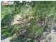 19 McIvor Street, River Heads QLD 4655
