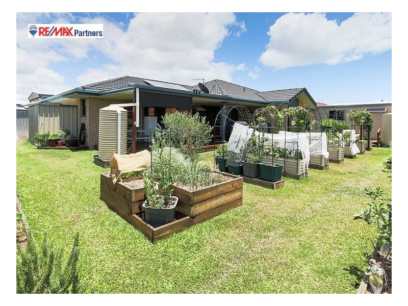 29 Abbey Court, Kawungan QLD 4655