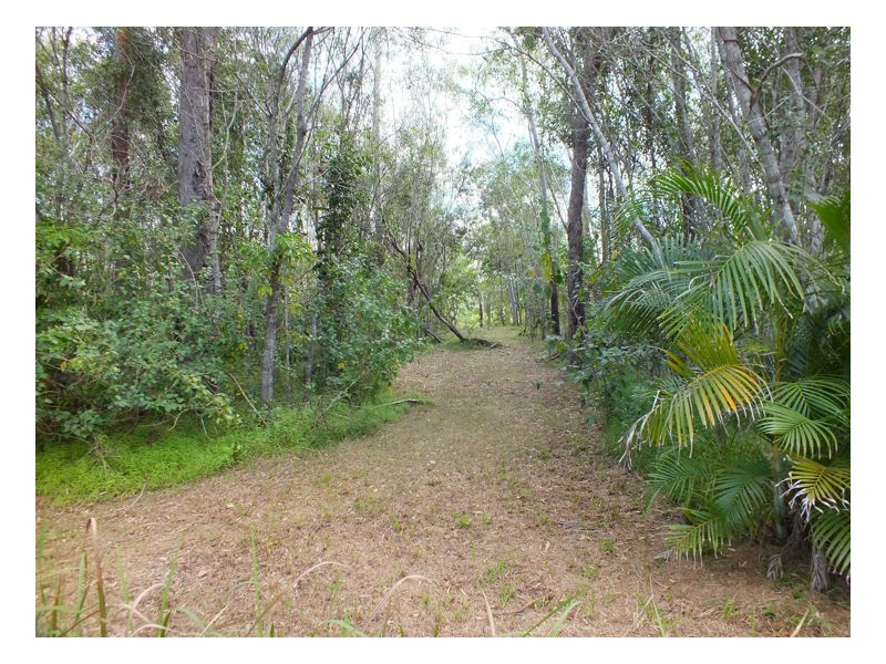 134 Pacific Haven Circuit, Pacific Haven QLD 4659