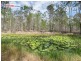 77 Neil Road, Maryborough West QLD 4650
