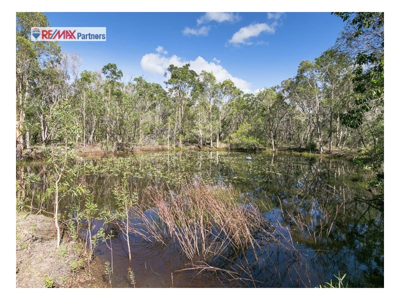 162 Condor Drive, Sunshine Acres QLD 4655