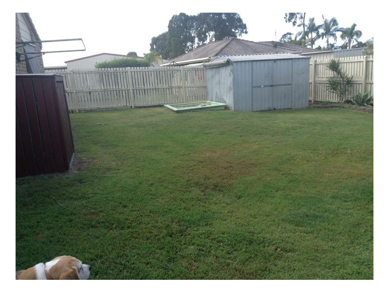 46 Ibis Boulevard, Eli Waters QLD 4655