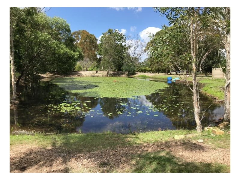 200 Condor Drive, Sunshine Acres QLD 4655