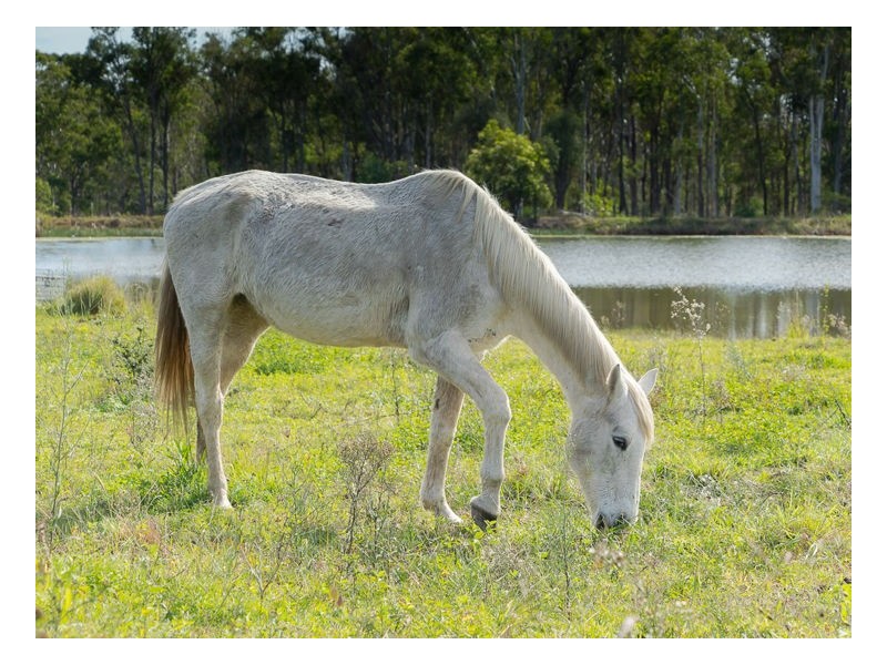 19 Simmos Road, Takura QLD 4655