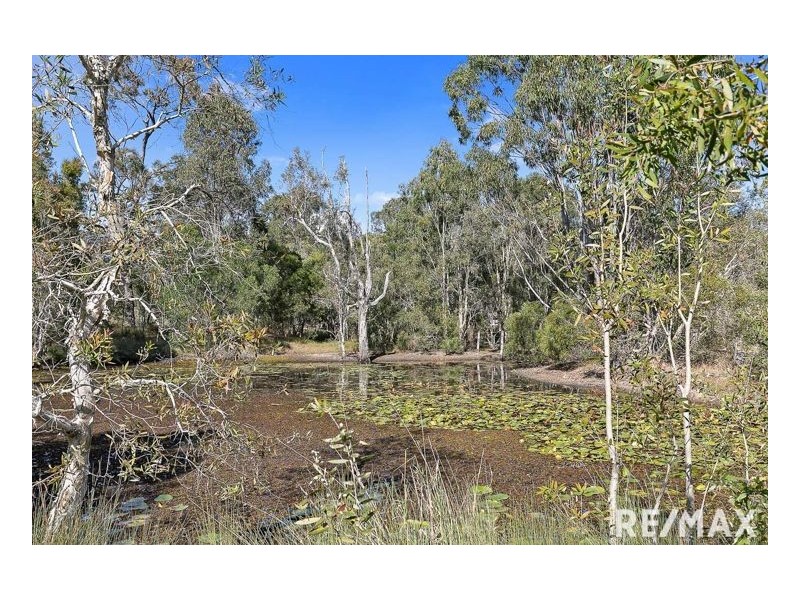 1743 Torbanlea-Pialba Road, Burgowan QLD 4659