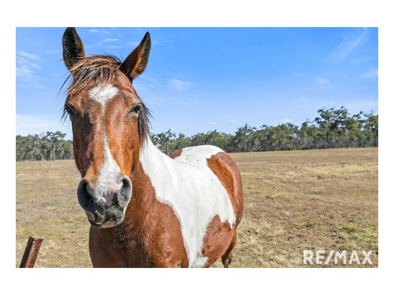 43 Piggford Lane, Walligan QLD 4655