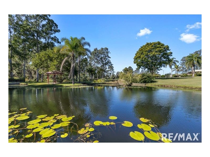 56 Dunford Road East, Grahams Creek QLD 4650