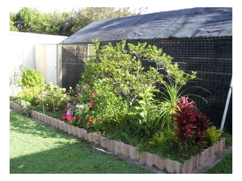 24 Shoreham Street, Pialba QLD 4655
