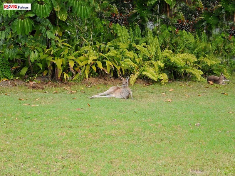 12 Parraweena Court, Point Vernon QLD 4655