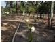 39 Senorita Parade, Urangan QLD 4655