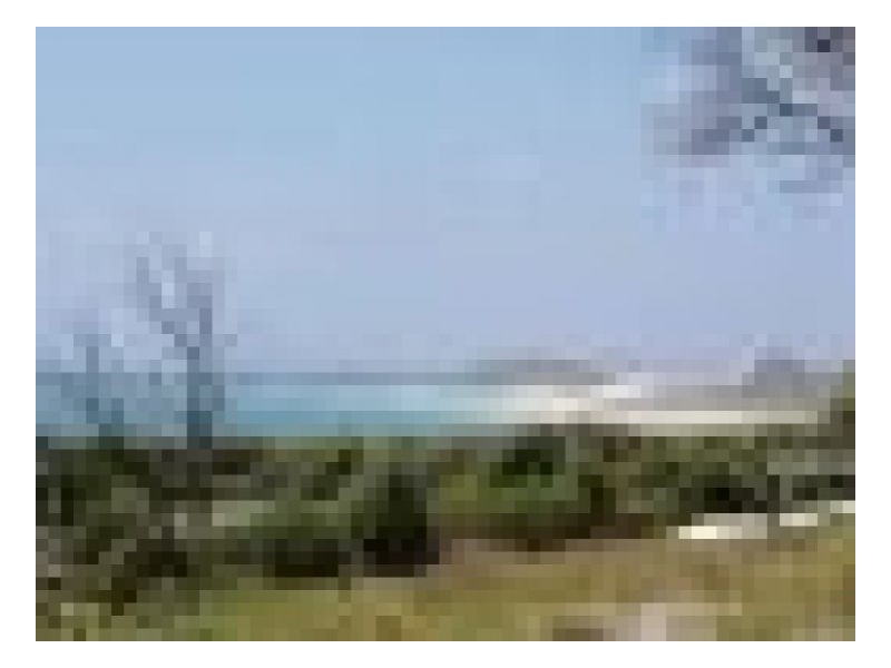 8 Euenmundi Court, Fraser Island QLD 4581
