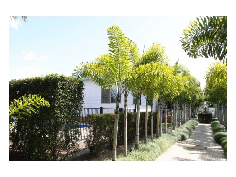 53 Bideford Street, Torquay QLD 4655