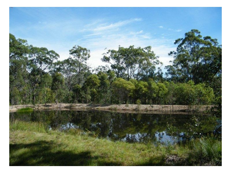 41 Sunnyside Drive, Susan River QLD 4655