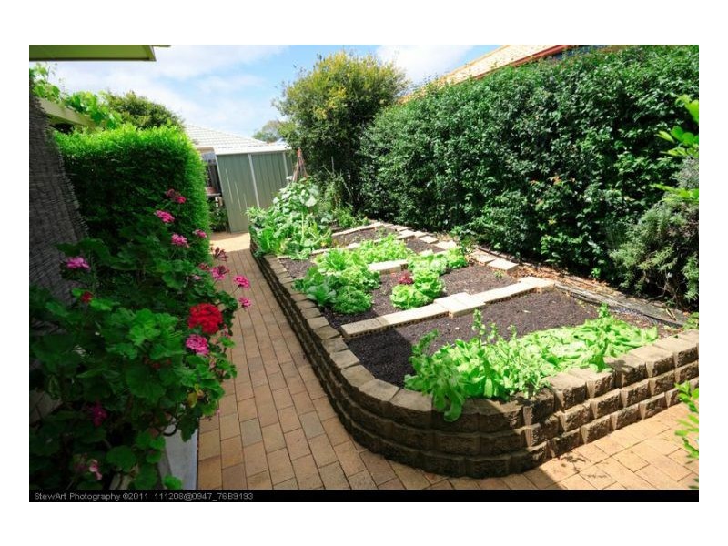 6 Florida Court, Urangan QLD 4655