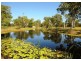 1423 Booral Road, Booral QLD 4655