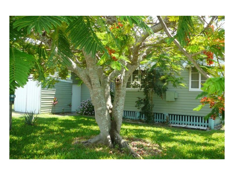 206 Long Street, Point Vernon QLD 4655