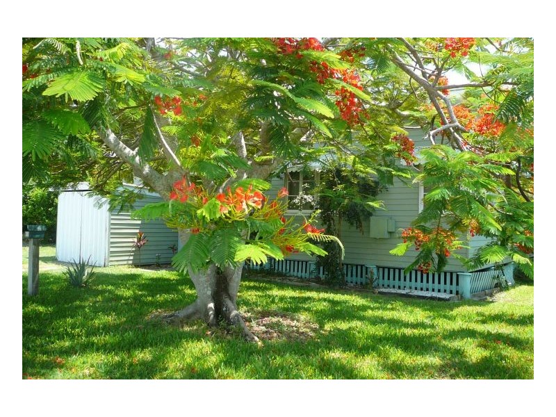 206 Long Street, Point Vernon QLD 4655