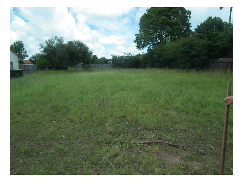 3 Dougan Street, Point Vernon QLD 4655