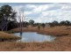 111 Findlay Road, Grahams Creek QLD 4650