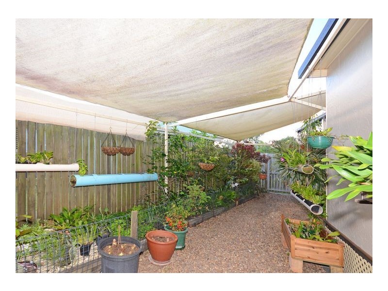 8 Shoreline Court, Urangan QLD 4655