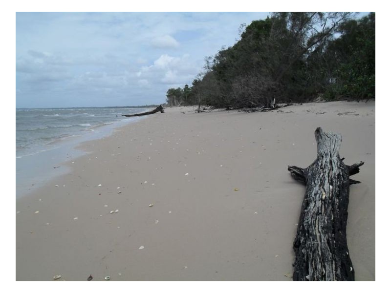 2 Barramundi Drive, Burrum Heads QLD 4659