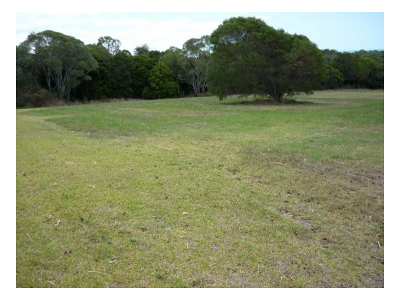 40 Highview Drive, Craignish QLD 4655