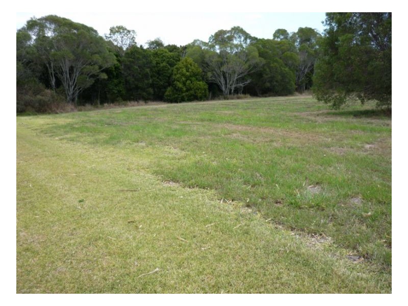 40 Highview Drive, Craignish QLD 4655