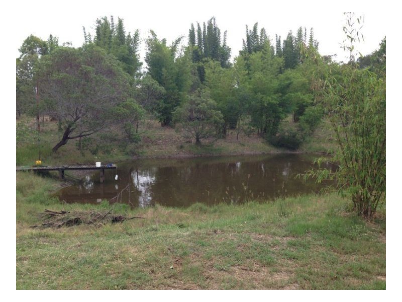 240 Pacific Haven Circuit, Pacific Haven QLD 4659