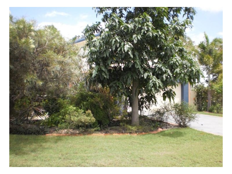 16 Tree View Parade, Toogoom QLD 4655