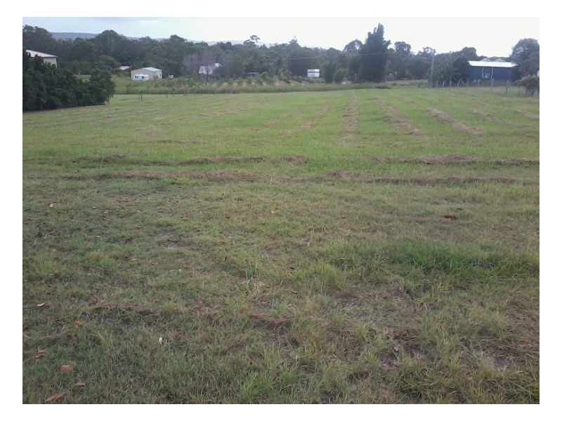 81 Mal Campbell Drive, Craignish QLD 4655