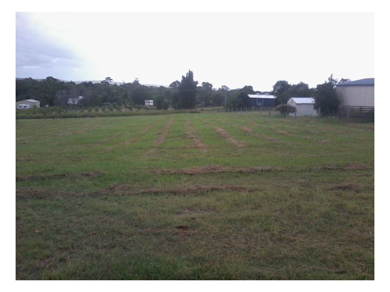 81 Mal Campbell Drive, Craignish QLD 4655