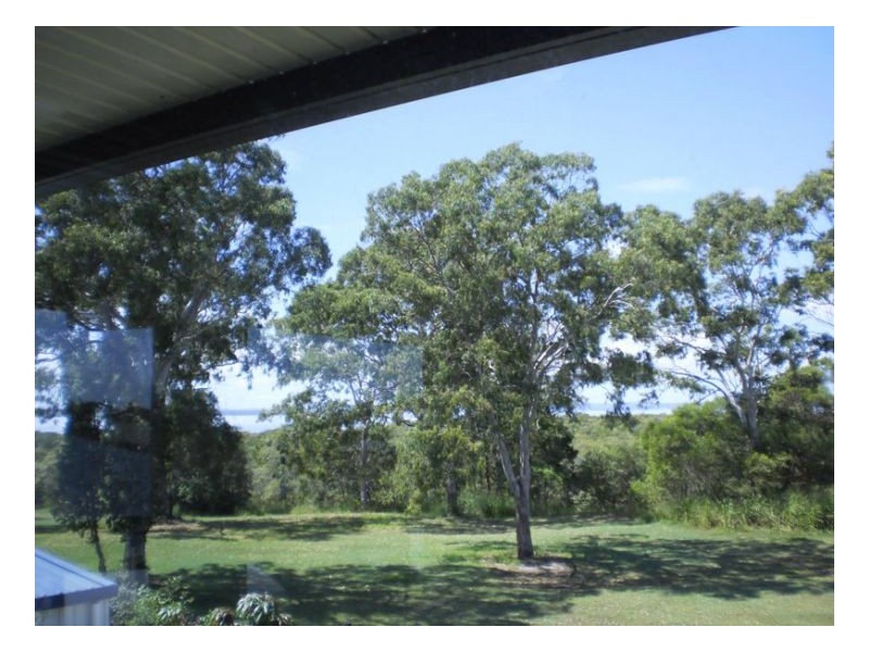 42 Foreshore Drive, Urangan QLD 4655