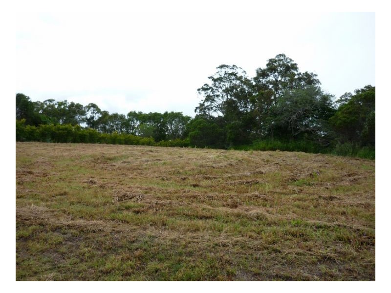 1 Swan Drive, Booral QLD 4655