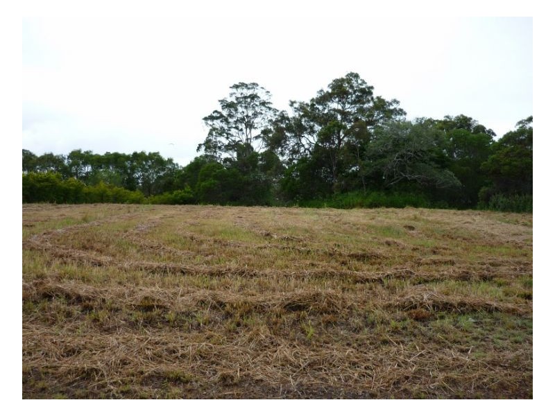 1 Swan Drive, Booral QLD 4655