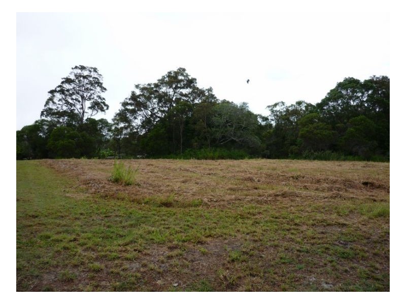 1 Swan Drive, Booral QLD 4655