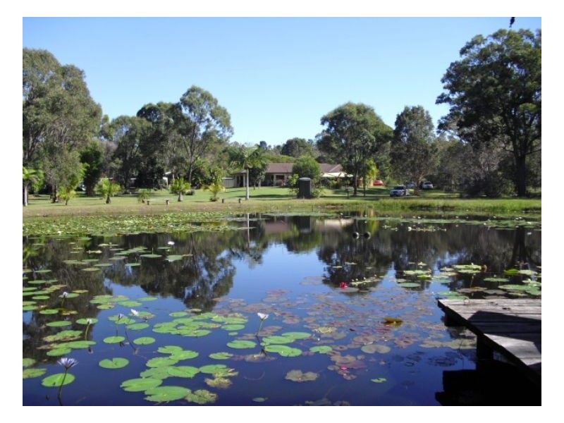 55 Pindari Cres, Sunshine Acres QLD 4655