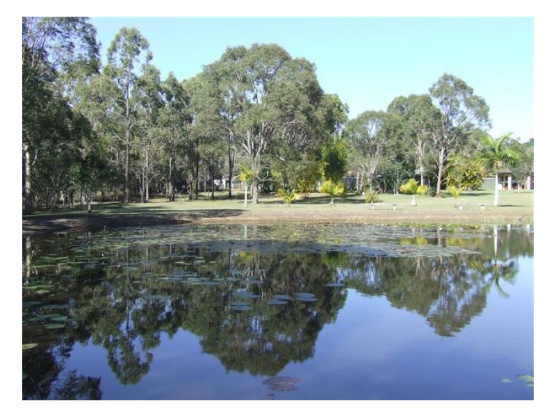 55 Pindari Cres, Sunshine Acres QLD 4655