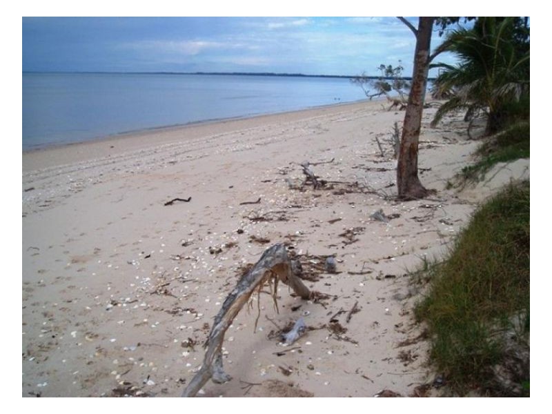 66 Beach Drive, Burrum Heads QLD 4659