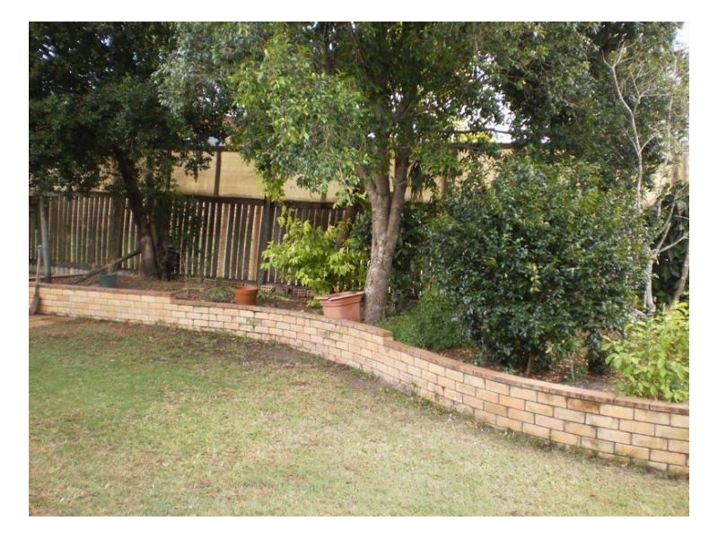 3 Morobe Street, Kawungan QLD 4655