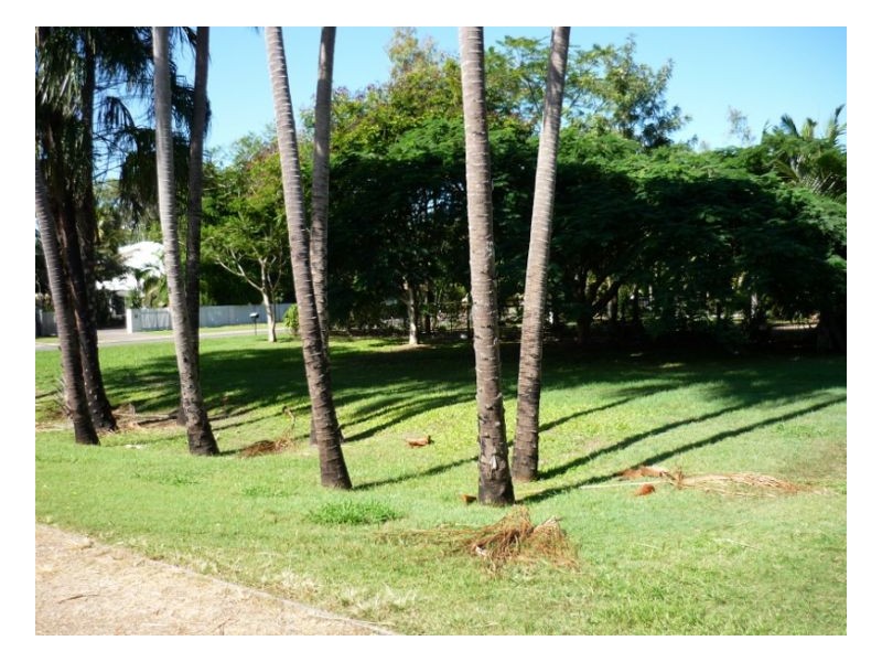 9 Foxwood Court, Dundowran Beach QLD 4655